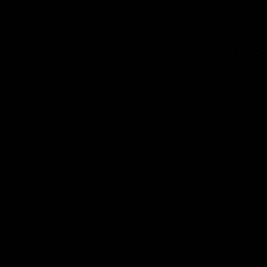 Meet your Posher, Stef!